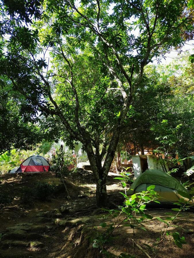 Hostal Dos Quebradas سانتا مارتا المظهر الخارجي الصورة