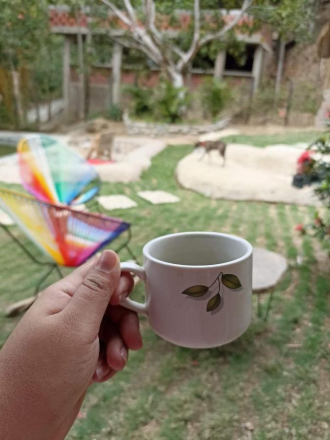 Hostal Dos Quebradas سانتا مارتا المظهر الخارجي الصورة